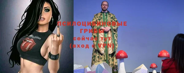 стафф Липки