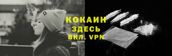 spice Лиски