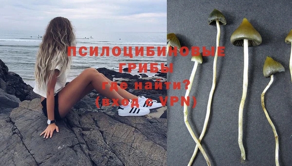 spice Лиски